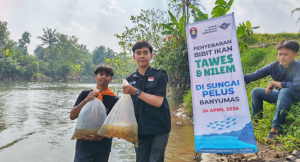 Tebar 11.500 Bibit Ikan, Mapala Unsoed bersama LAZNAS Al Irsyad Purwokerto Bantu Pulihkan Ekosistem Sungai Pelus dan Klawing